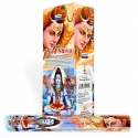 Darshan Lord Shiva incense (per box)