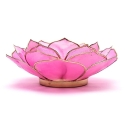 Lotus blatt Stimmungslicht Rosa