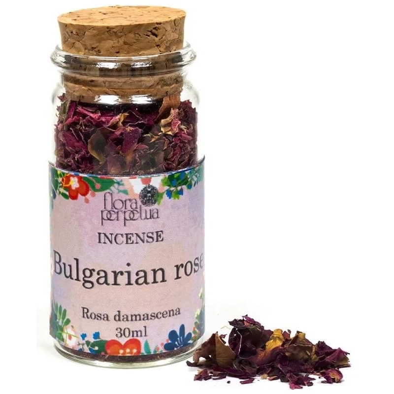 Bulgarian rose Weihrauchkraut