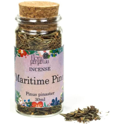 Herbe d'encens Maritime Pine