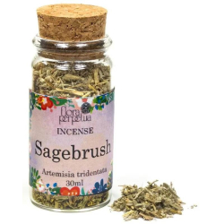 Sagebrush Weihrauchkraut