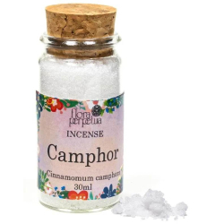 Camphor wierookkruid