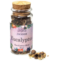 Eucalyptus incense herb