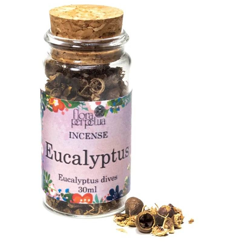 Eucalyptus incense herb