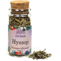 Hyssop incense herb