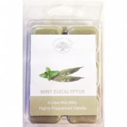 Mint Eucalyptus Wax Melts