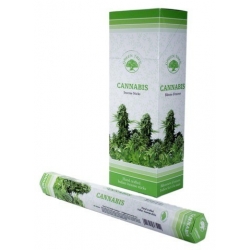 6 pakjes Cannabis wierook (Green Tree)