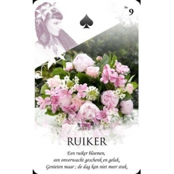 Viona's Lenormand cards Game (NL)
