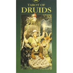 Tarot der Druiden (NL)