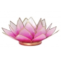 Lotus mood light Light pink