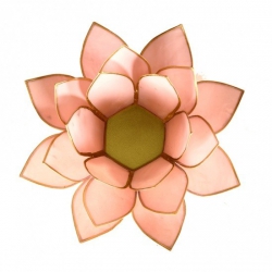 Lumière d'ambiance Lotus - Rose pastel