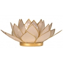 Lumière d'ambiance Lotus Nacre
