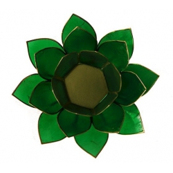 Lotus mood light - Emerald green