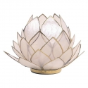 Lotus mood light extra large Natural